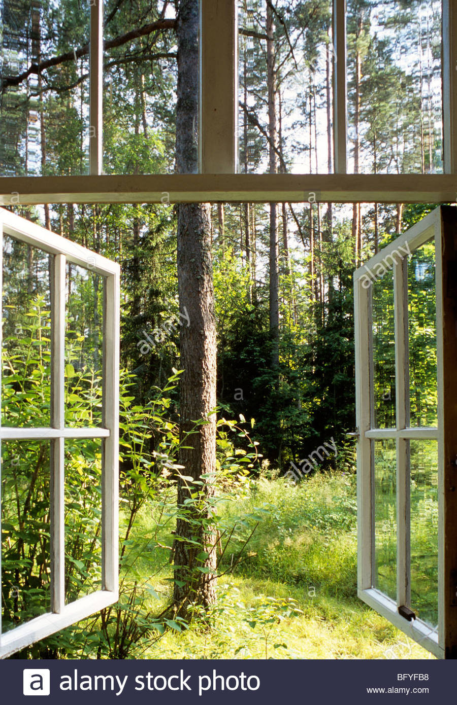 Geschenke Durch Offene Fenster
 fenen Fenster mit Blick in den Wald in der Nähe von St