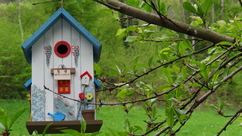 Geschenke Für Garten
 Geschenke für den Garten Stilvolle Ideen SAT 1 Ratgeber