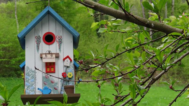 Geschenke Für Gartenfreunde
 Geschenke für den Garten Stilvolle Ideen SAT 1 Ratgeber