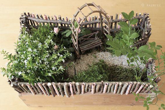 Geschenke Garten
 Die Raumfee Geldgeschenk als Minigarten verpackt