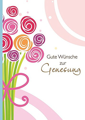 Geschenke Zur Genesung
 Romane von Kaufmann Ernst Bücher im Preisvergleich der