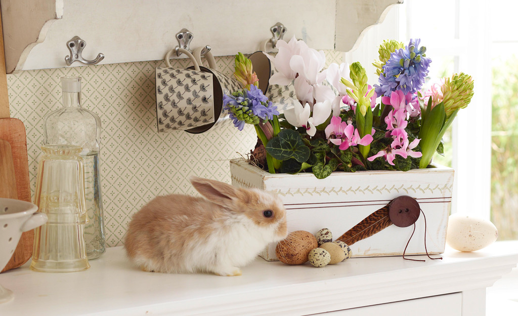 Geschenkideen Für Ostern Zum Selber Machen
 Ostergeschenk basteln