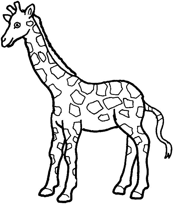 Giraffe Malvorlagen
 Giraffe Malvorlagen Malvorlagen1001