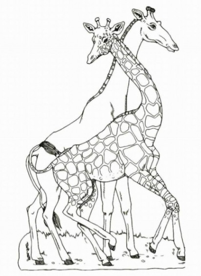 Giraffe Malvorlagen
 Ausmalbilder Giraffe Malvorlagen ausdrucken 1