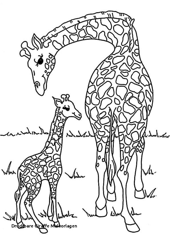 Giraffe Malvorlagen
 Druckbare Giraffe Malvorlagen sulurfo