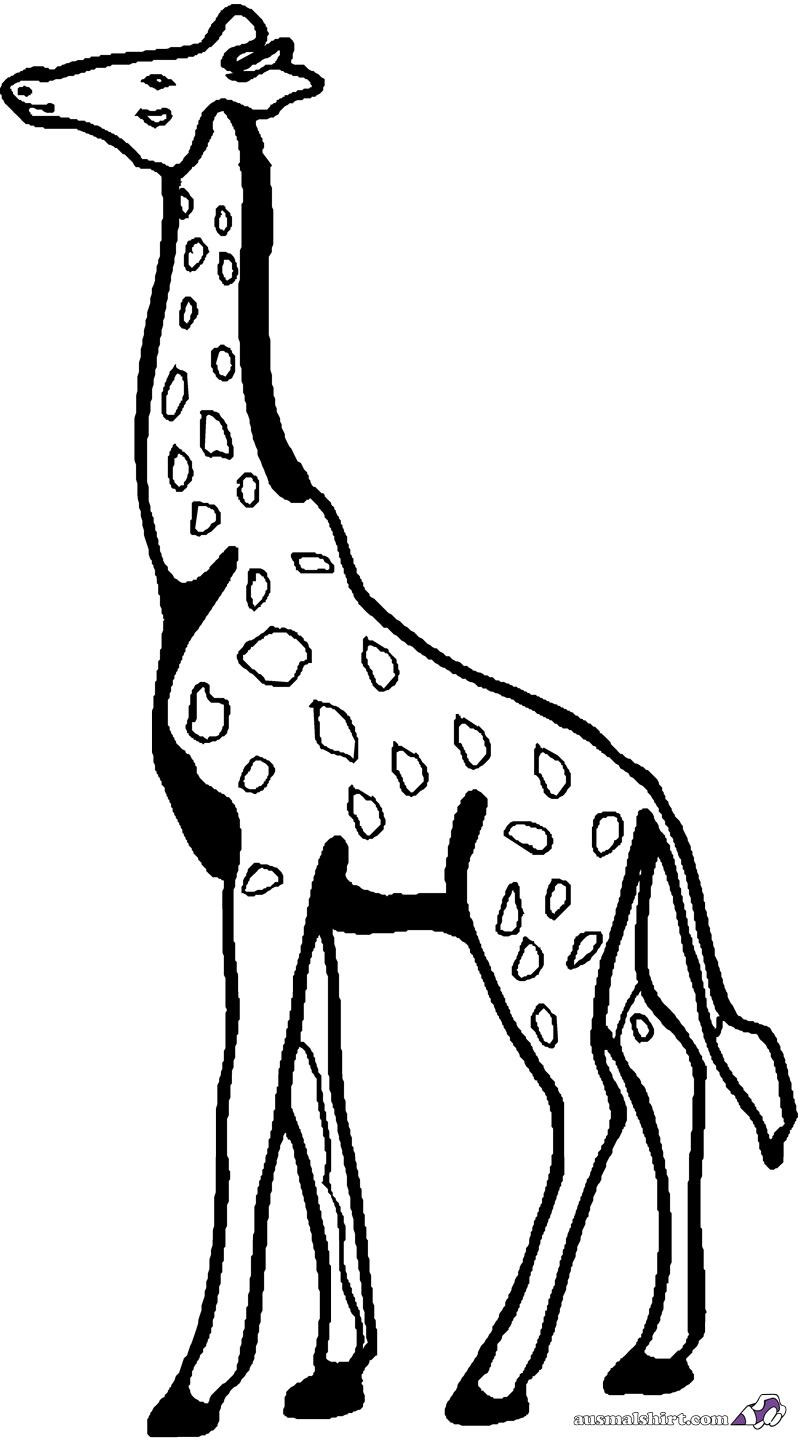 Giraffe Malvorlagen
 Giraffe Malvorlagen Kostenlos Zum Ausdrucken