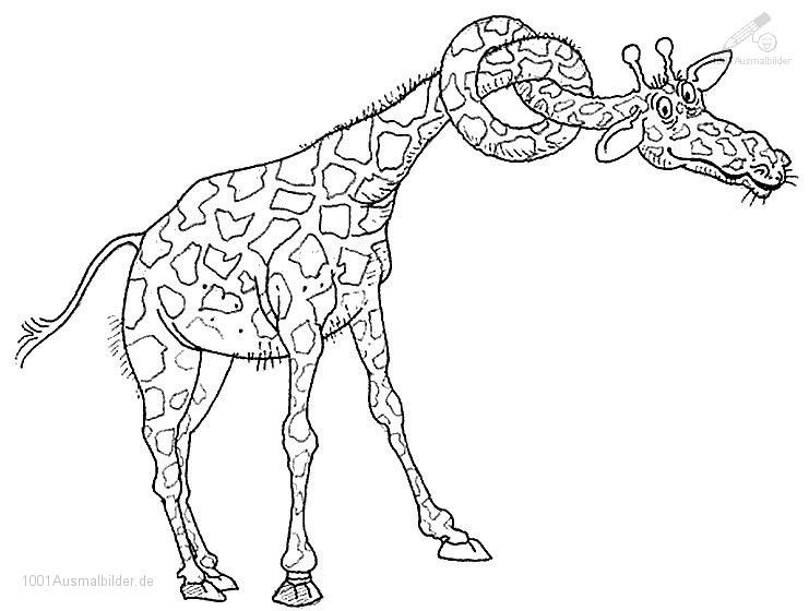 Giraffe Malvorlagen
 Giraffe malvorlagen kostenlos zum ausdrucken