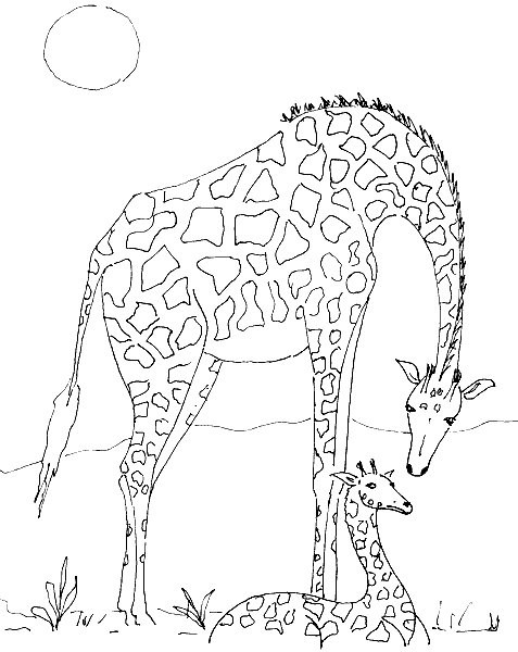 Giraffe Malvorlagen
 Giraffe Malvorlagen Malvorlagen1001