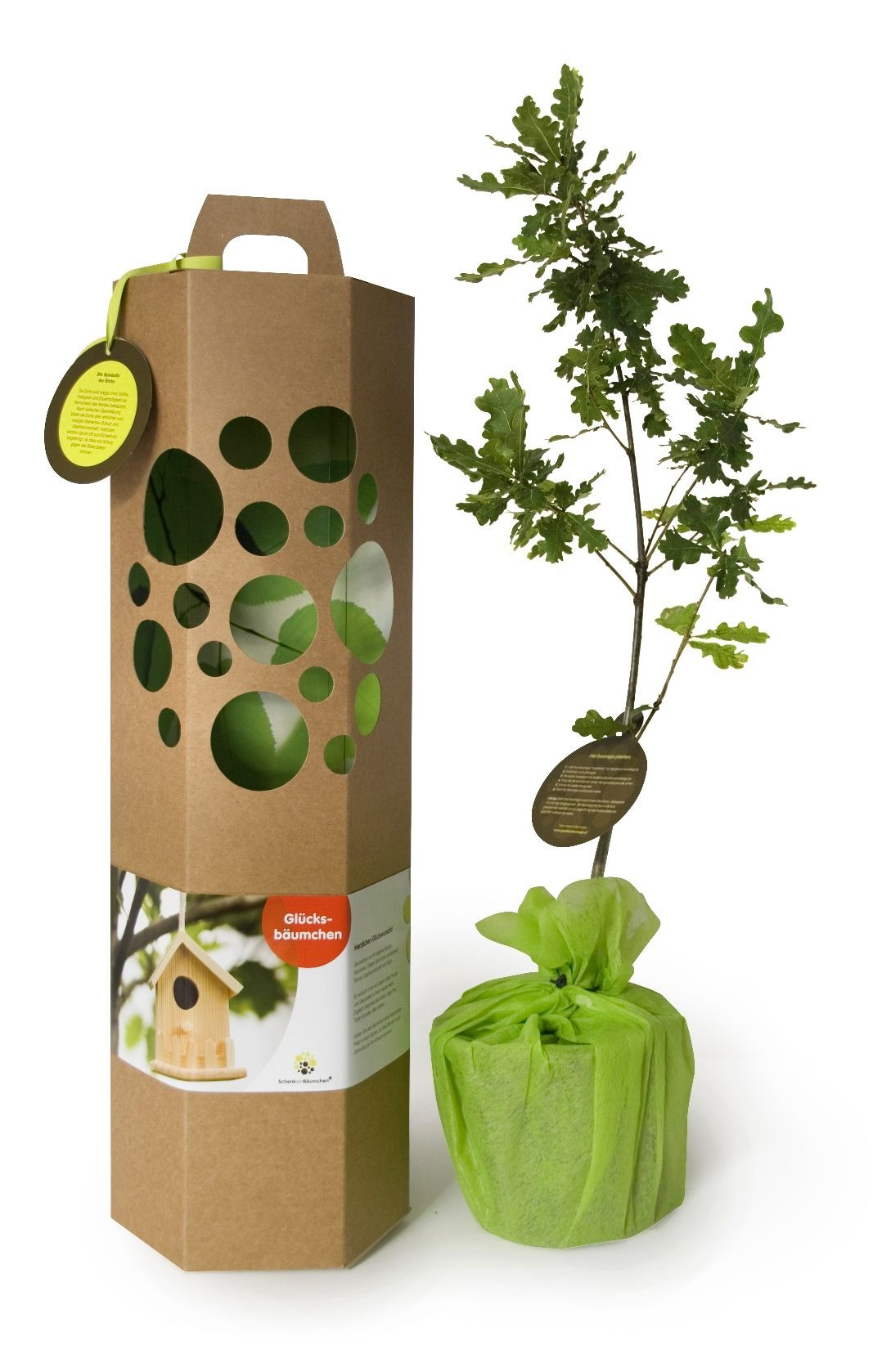 Glücksbaum Zur Hochzeit
 Mit sem Geschenk zum Einzug in eine neue Wohnung oder