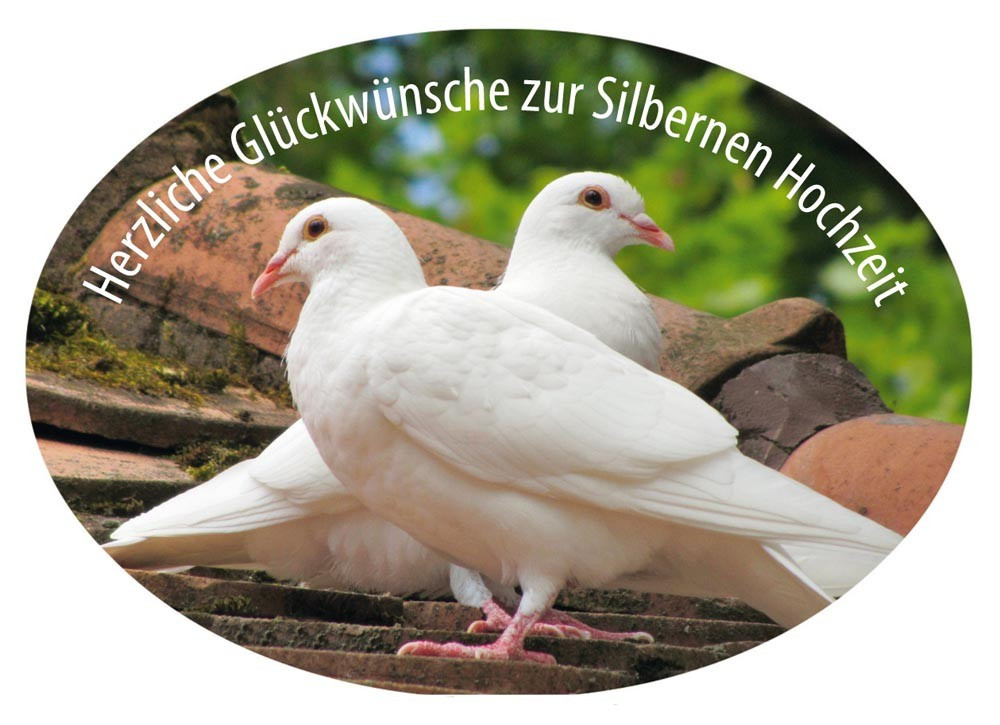 Glückwünsche Zur Silbernen Hochzeit
 Grußaufkleber Herzliche Glückwünsche zur Silbernen