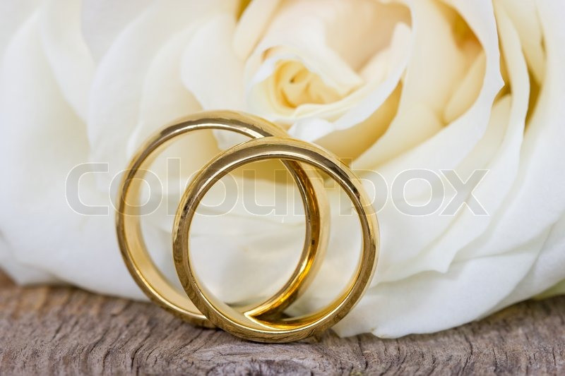 Goldene Hochzeit Symbole
 Goldene Hochzeit Ringe mit weißen Rose Stockfoto