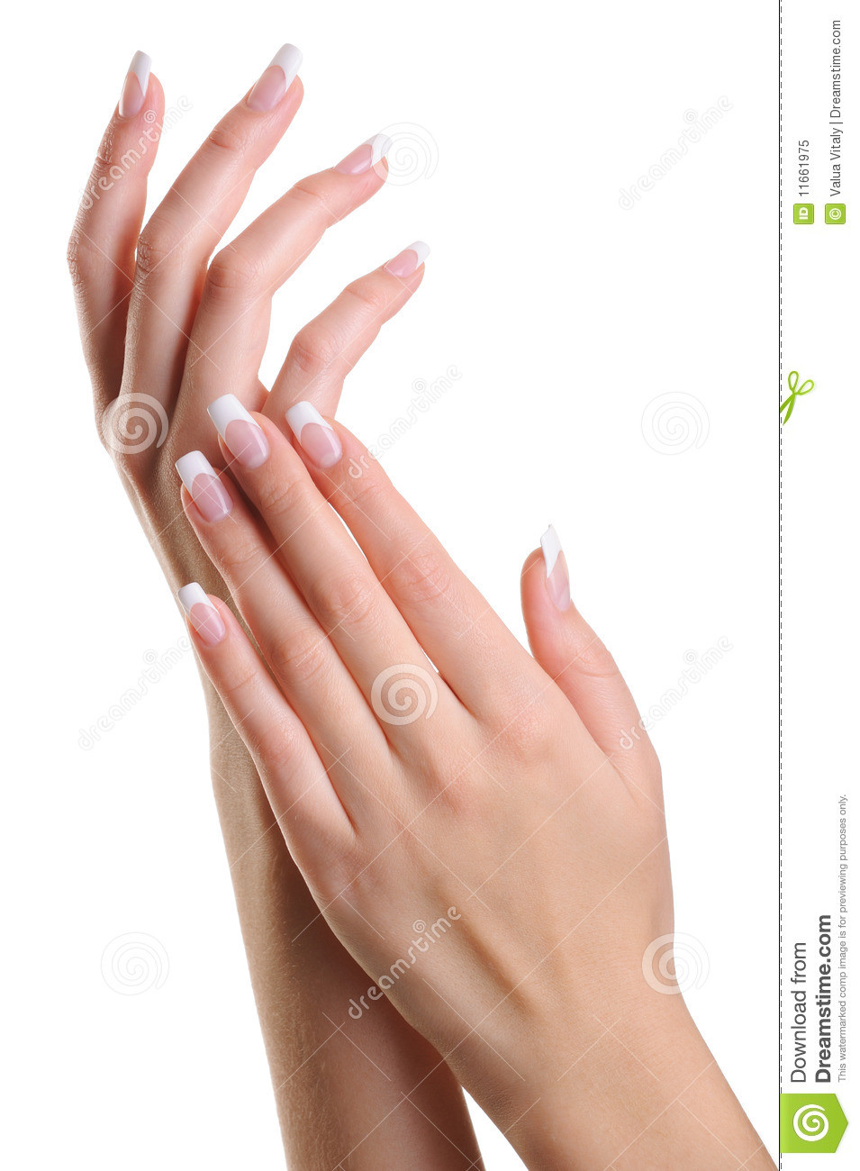 Hand Maniküre
 Beauty Elegant Female Hands With French Manicure Stock