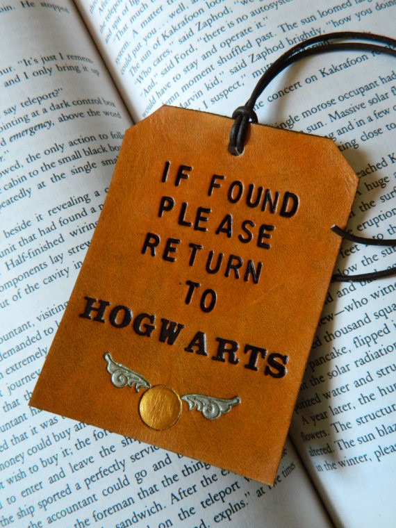 Harry Potter Diy Gifts
 DIY Harry Potter ts ideas