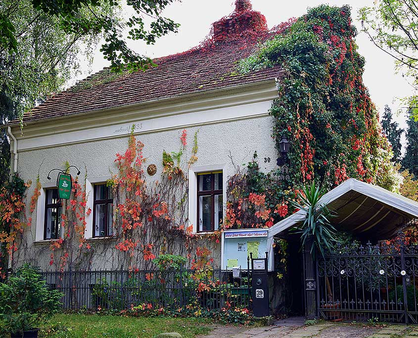 Haus Der Ideen
 Haus der Ideen Hochzeitslocation in Berlin