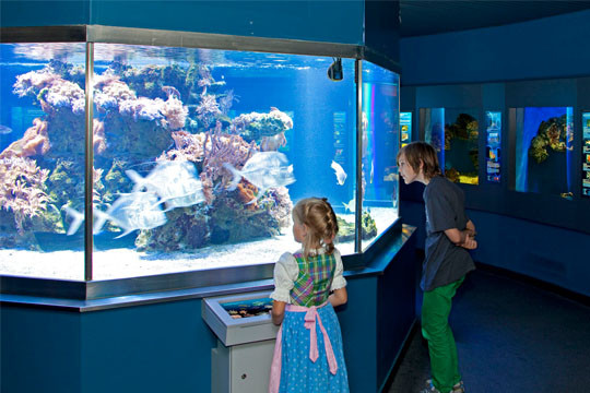 Haus Der Natur Salzburg
 Haus der Natur meinefamilie