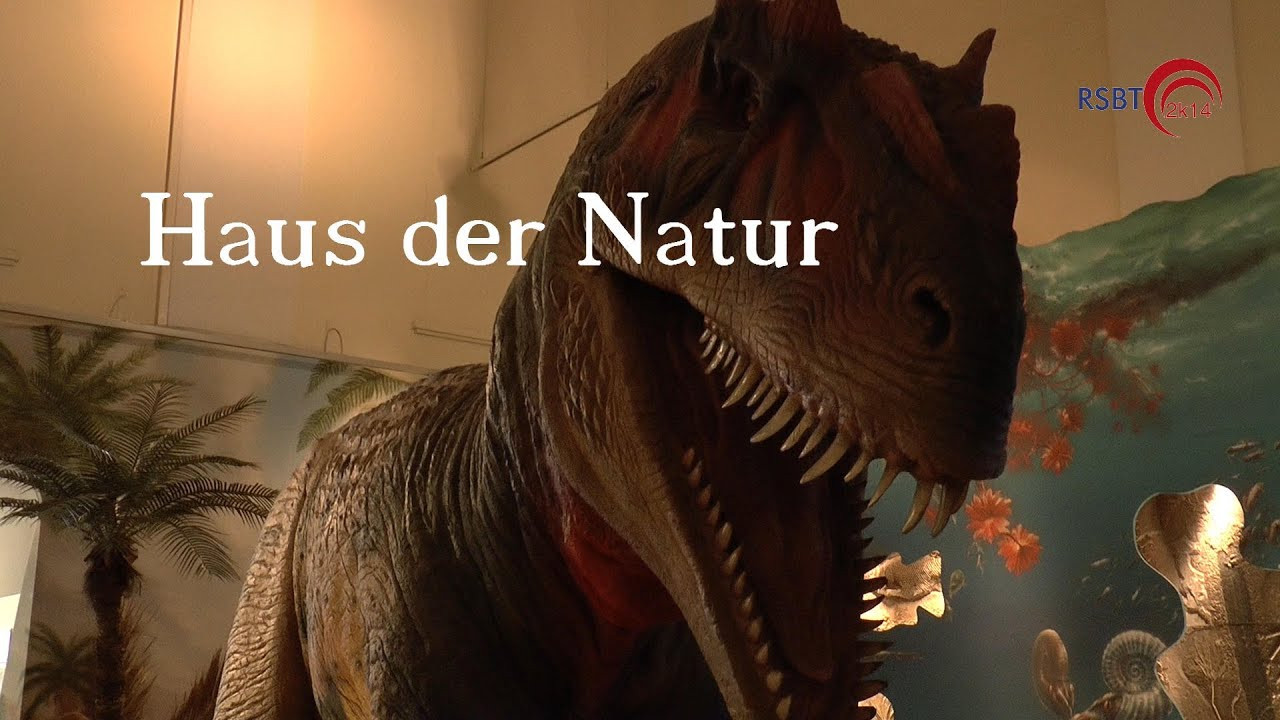 Haus Der Natur Salzburg
 Haus der Natur Museum für Natur und Technik Salzburg Full