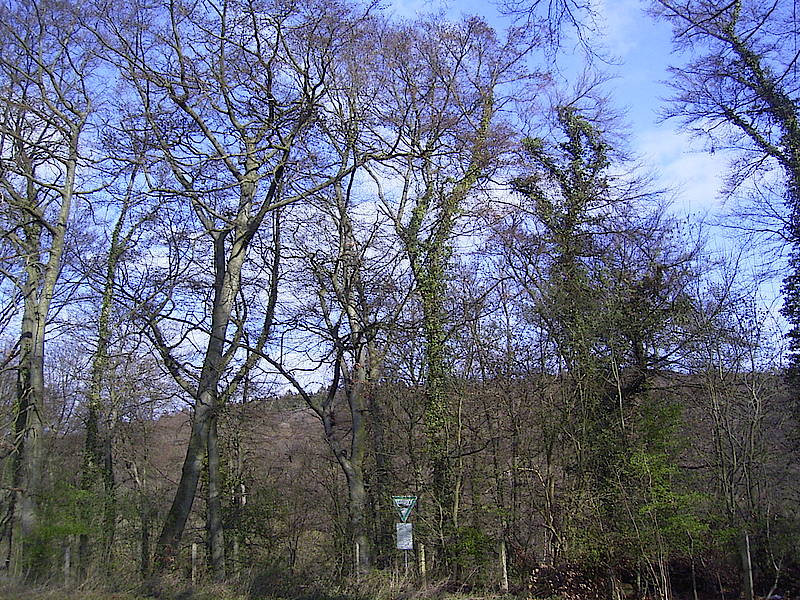 Haus Hassley
 Kalkbuchenwälder bei Hohenlimburg Natur erleben NRW