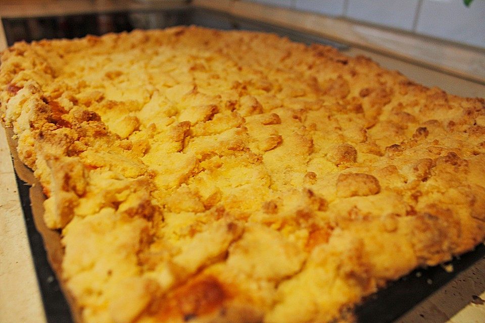 Hefeteig Kuchen
 Schlesischer Quark Streusel Hefeteig Kuchen von