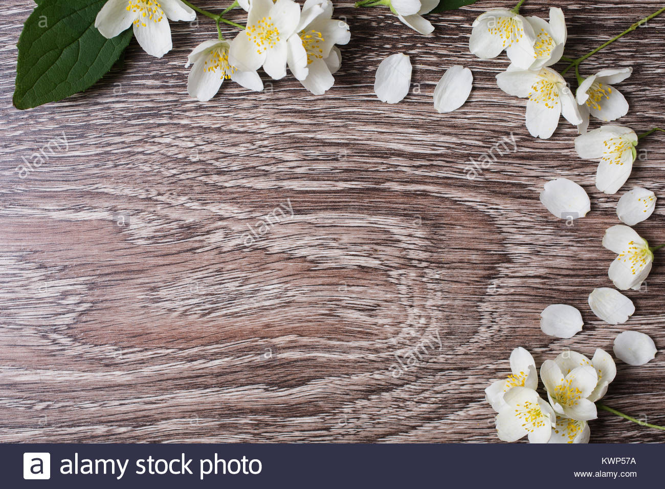 Hintergrund Hochzeit
 Rahmen von weißen Blumen und Jasminblüten liegen auf dem