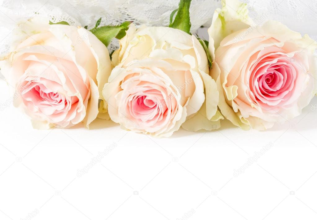 Hintergrund Hochzeit
 Hochzeit Hintergrund mit Rosen und Spitze — Stockfoto