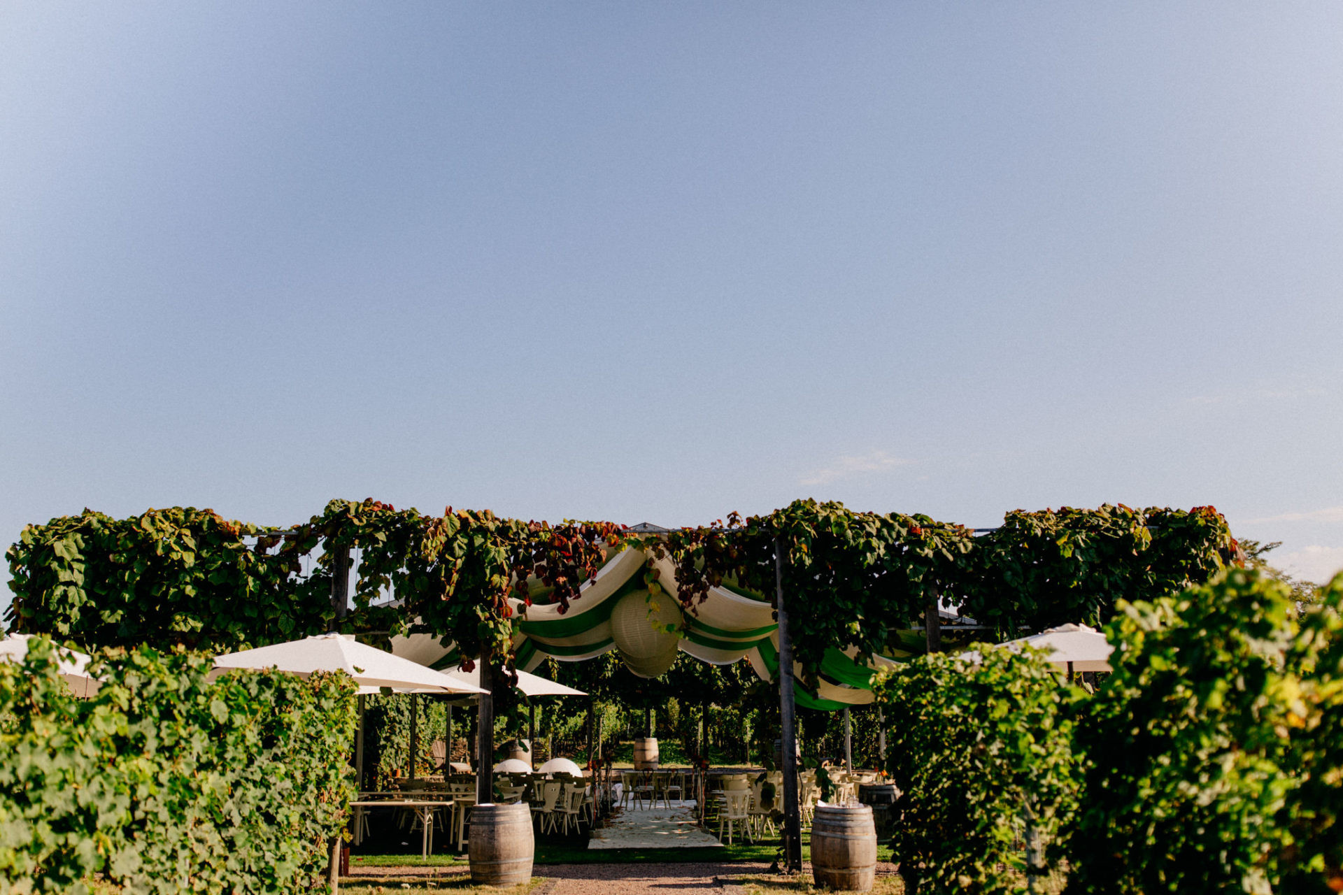 Hochzeit Weingut
 Eine wunderschöne Hochzeit auf dem Weingut Fitz Ritter