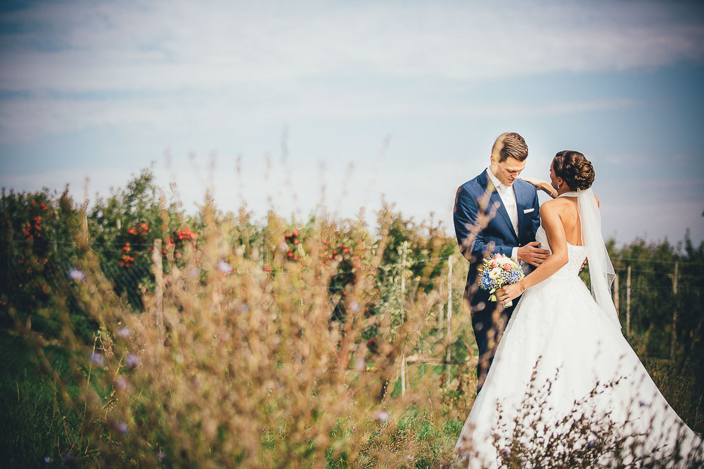 Hochzeit Weingut
 Weingut Hochzeit Bechtheim Alea Horst