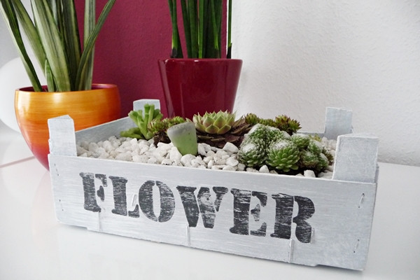 Holzkiste Diy
 zauberhafte Welten DIY Holzkiste mit Succulenten Kiste
