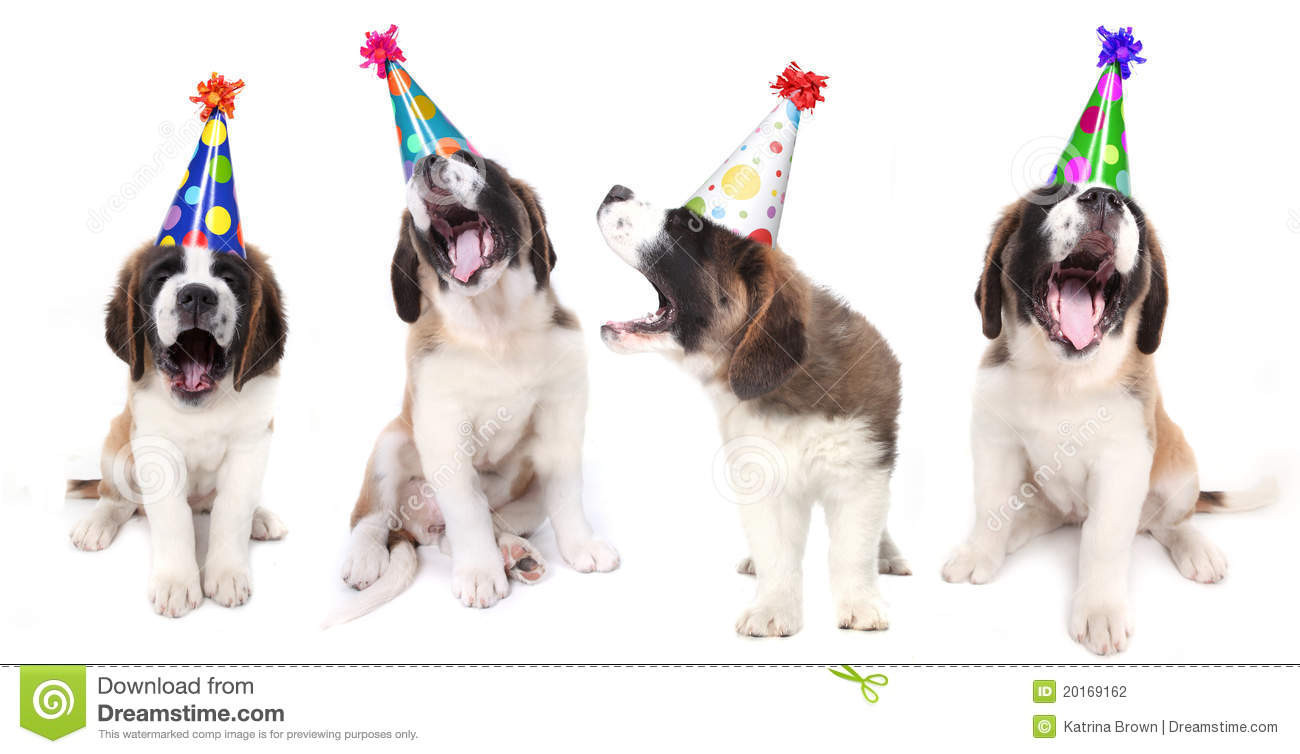Hunde Geburtstagsbilder
 Geburtstag Hunde Bilder