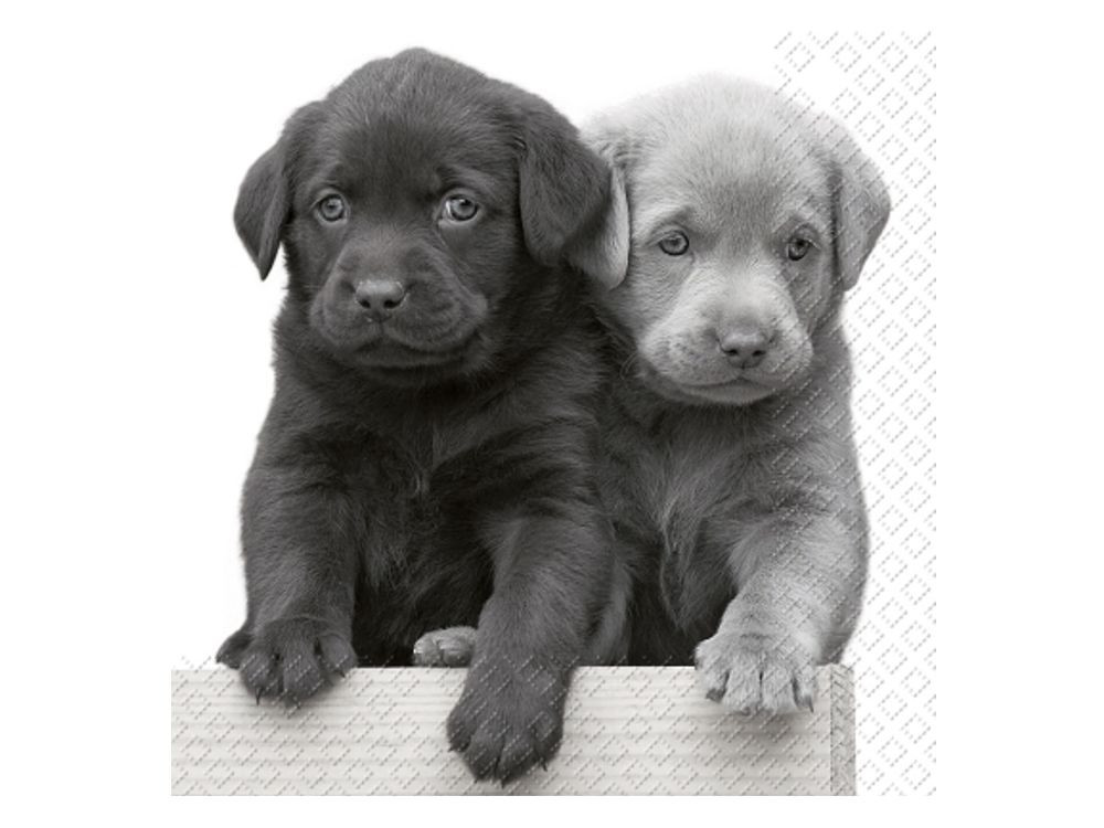 Hunde Geschenke
 Papier Servietten Hunde Labrador Welpen Tierisch