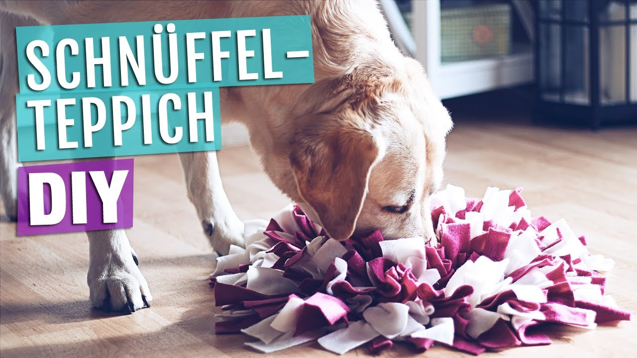 Hundespielzeug Diy
 Anleitung SCHNÜFFELTEPPICH