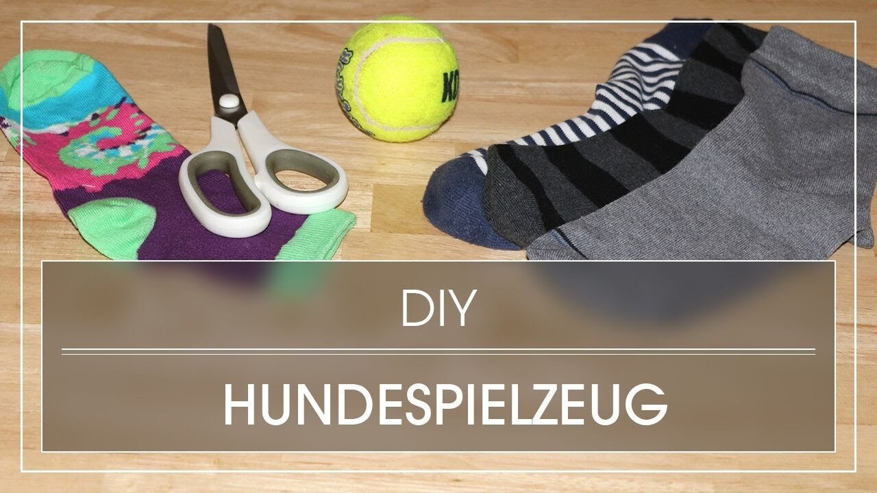 Hundespielzeug Diy
 DIY Hundespielzeug