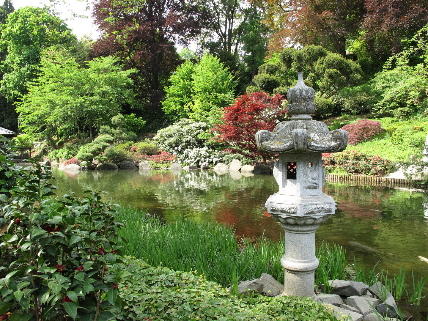 Japanischer Garten Kaiserslautern
 JAPANISCHER GARTEN KAISERSLAUTERN Foto & Bild