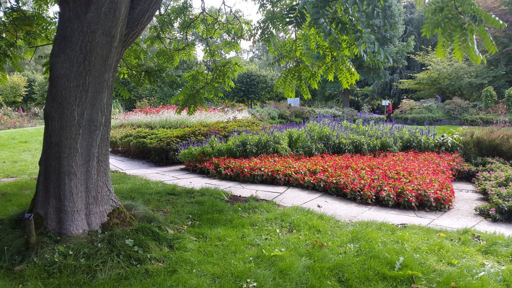 Kassel Botanischer Garten
 Garten Perfekt Kassel Botanischer Garten Für BOTANISCHER