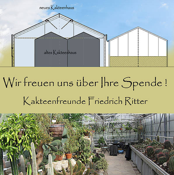 Kassel Botanischer Garten
 Copyright Botanischer Garten Kassel Alle Rechte vorbehalten