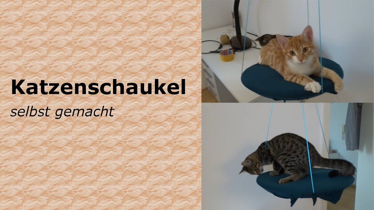 Katzenspielzeug Diy
 DIY Katzen Spielzeug Katzenschaukel follow Salt&Pepper