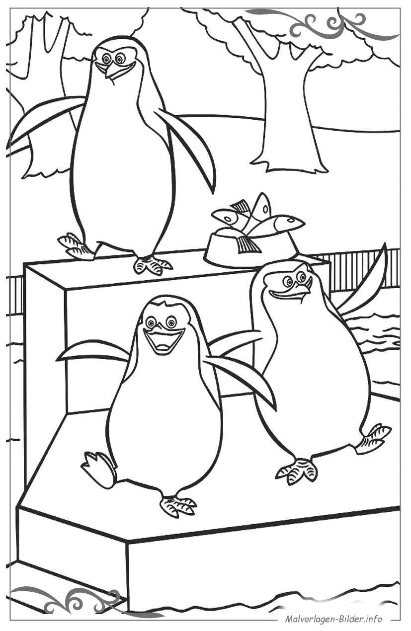 Kostenlose Ausmalbilder Für Kinder
 Bilder Von Pinguinen Zum Ausdrucken Kinderbilder Download