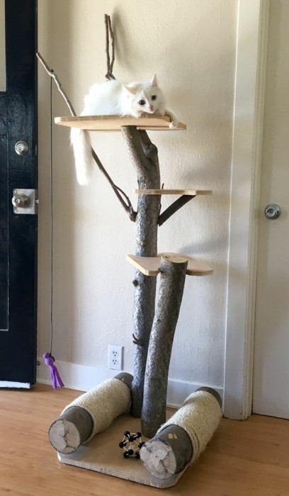 Kratzbaum Diy
 Die Wohlfühloase für Ihre Katze Kratzbaum selber bauen