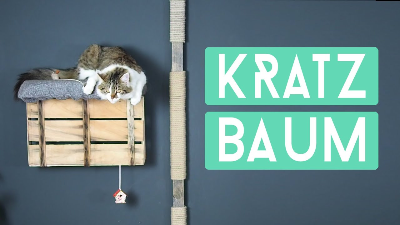 Kratzbaum Diy
 DIY Kratzbaum für Wand Einfach selber machen