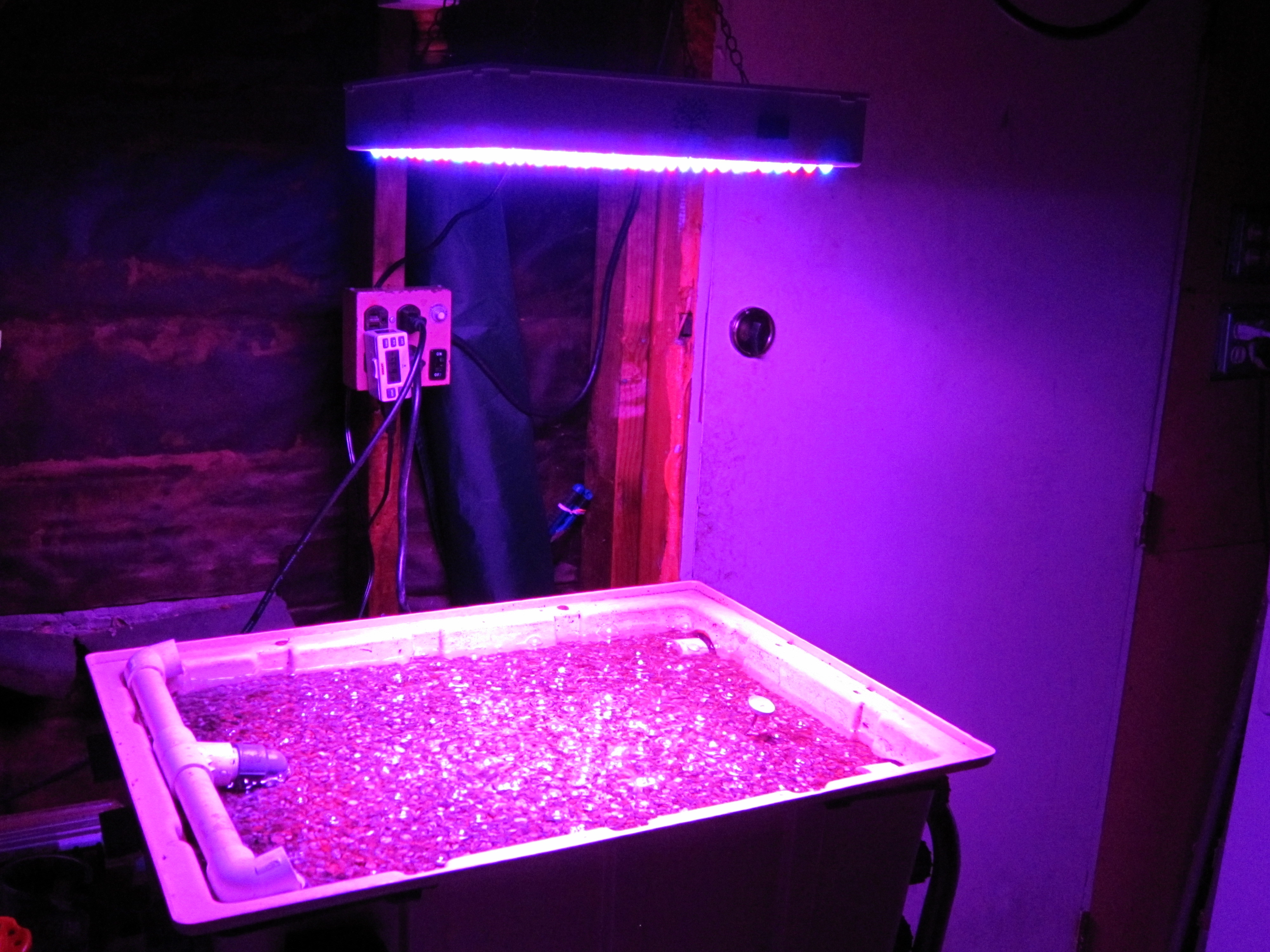 Led Diy
 indoor duckweed growing