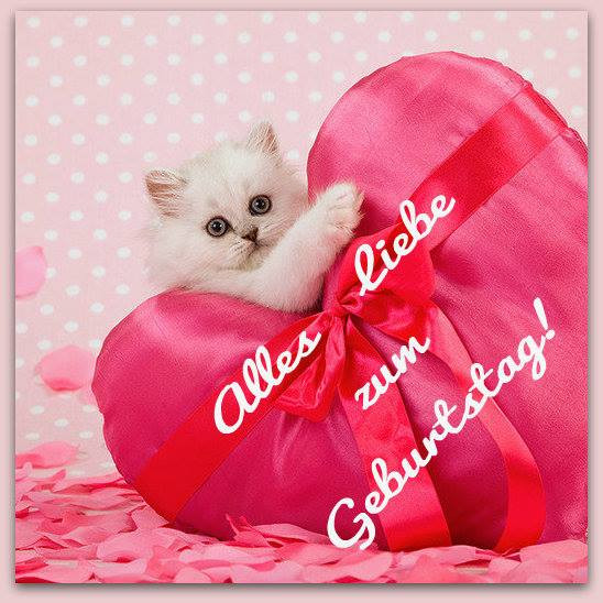 Liebe Geburtstagsbilder
 Kätzchen mit einem großen Herzen Alles Liebe Zum