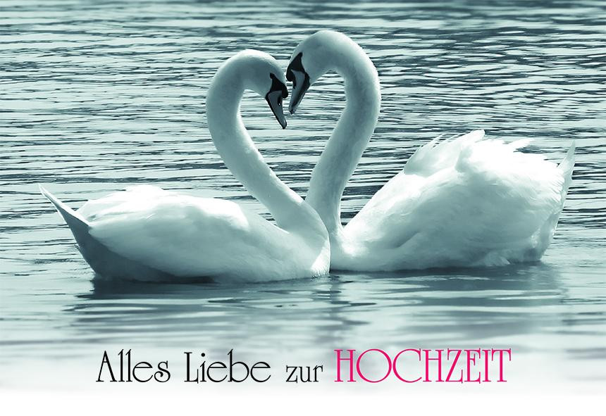 Liebe Zur Hochzeit
 Hochzeitskarte Alles Liebe zur Hochzeit 6 Stck Kaufen