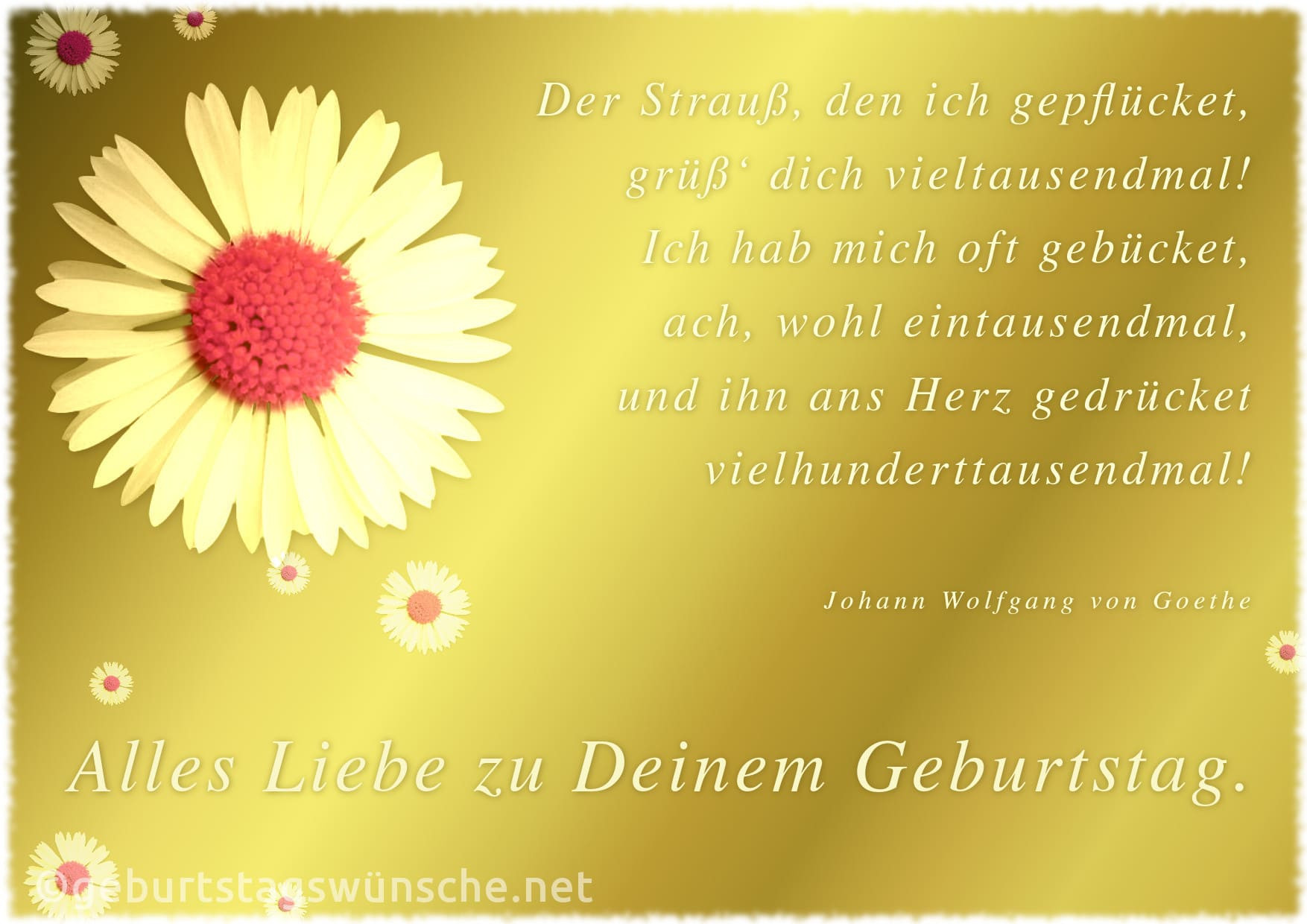 Liebes Geburtstagssprüche
 Blumen Geburtstag Spruch Blumen Dekoration Ideen