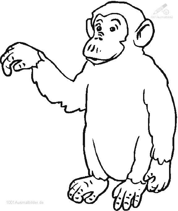Malvorlagen Affe
 affe ausmalbild – Ausmalbilder für kinder