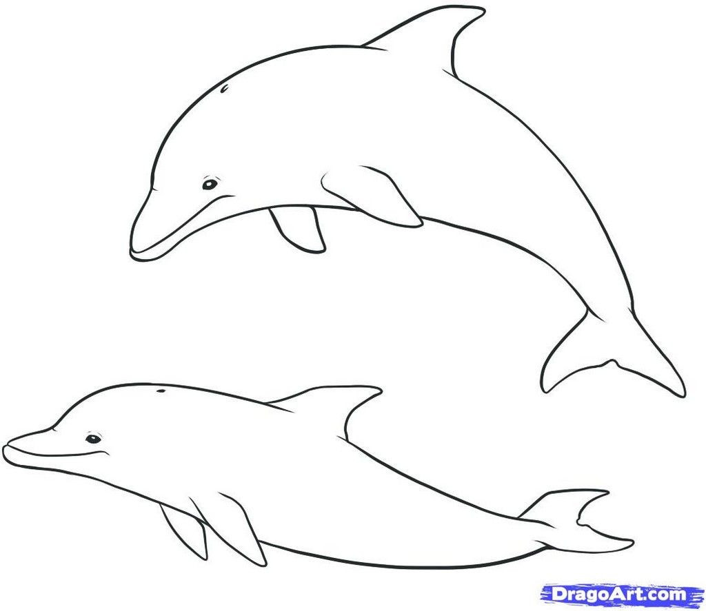 Malvorlagen Delfin
 delfin malvorlagen Kinderzimmer Pinterest