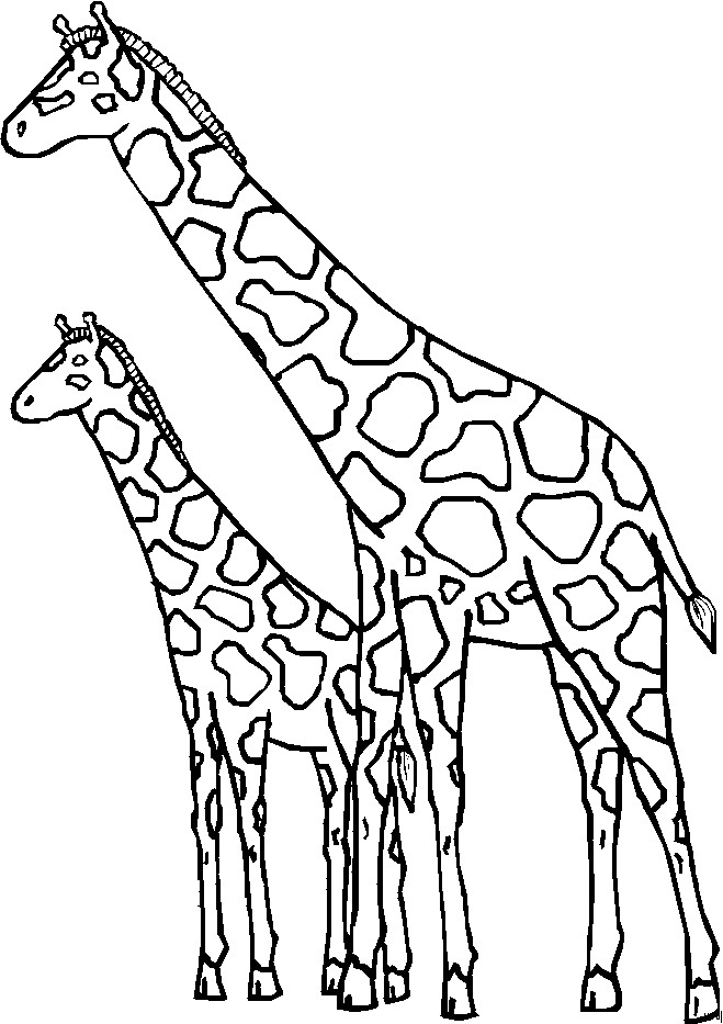 Malvorlagen Giraffe
 Zwei Giraffen Ausmalbild & Malvorlage ics