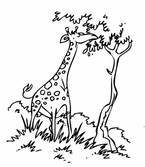 Malvorlagen Giraffe
 Kostenlose Malvorlage Tiere Giraffe mit Baum zum Ausmalen