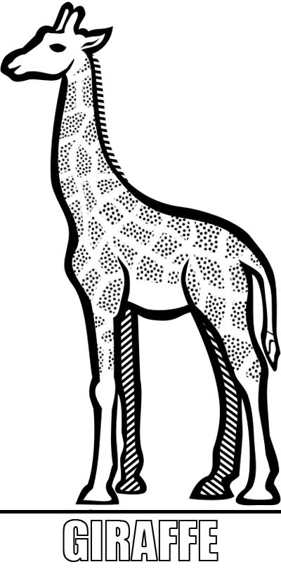 Malvorlagen Giraffe
 Malcvorlage Giraffe zum Ausdrucken