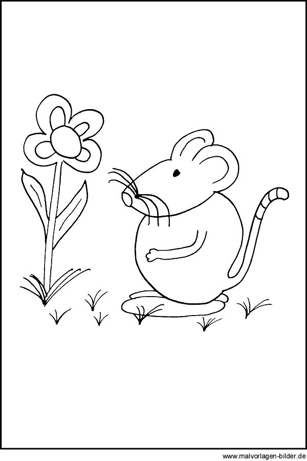 Malvorlagen Maus
 Maus mit Blume kostenloses Ausmalbild