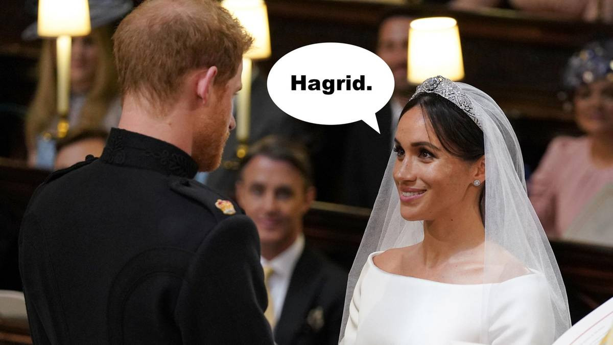 Megan Und Prinz Harry Hochzeit
 Meghan Markle und Prinz Harry Hochzeits Synchro