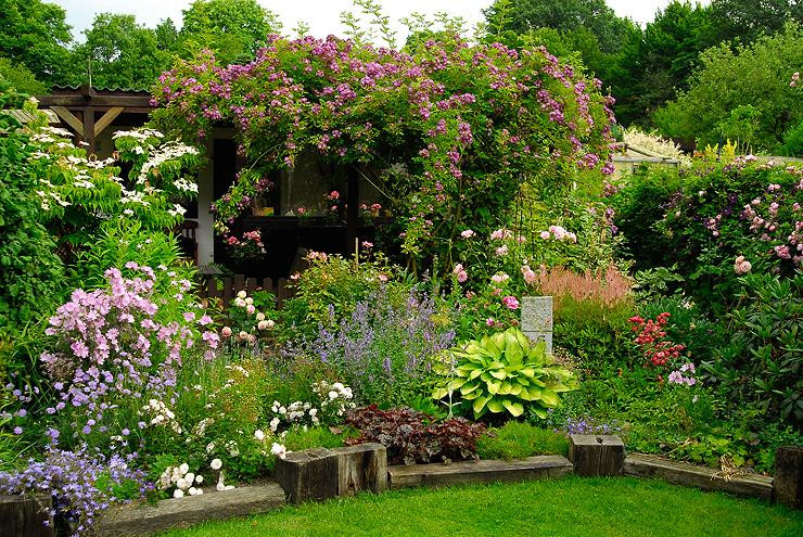 Mein Schöner Garten Fotos
 Kornus Cousa Mein schöner Garten Forum